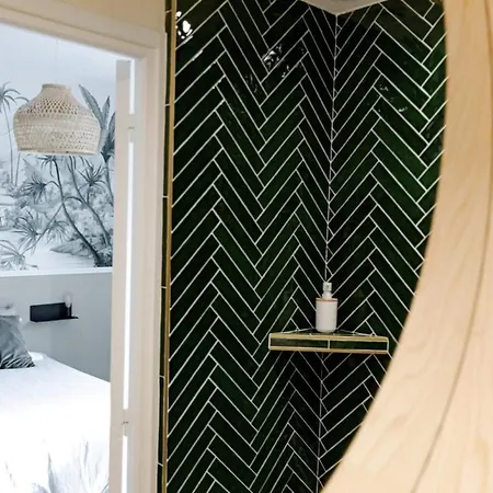Oasis Tropicale - Appartement Cosy Et Calme A 10 Min De La Gare De Roanne Appartamento *